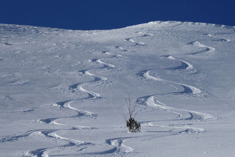 Skifahrer-Spuren im Tiefschnee